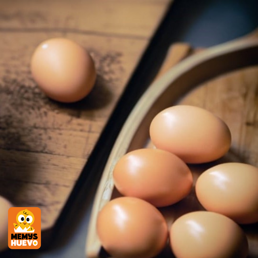 Ventajas Del Consumo de Huevos