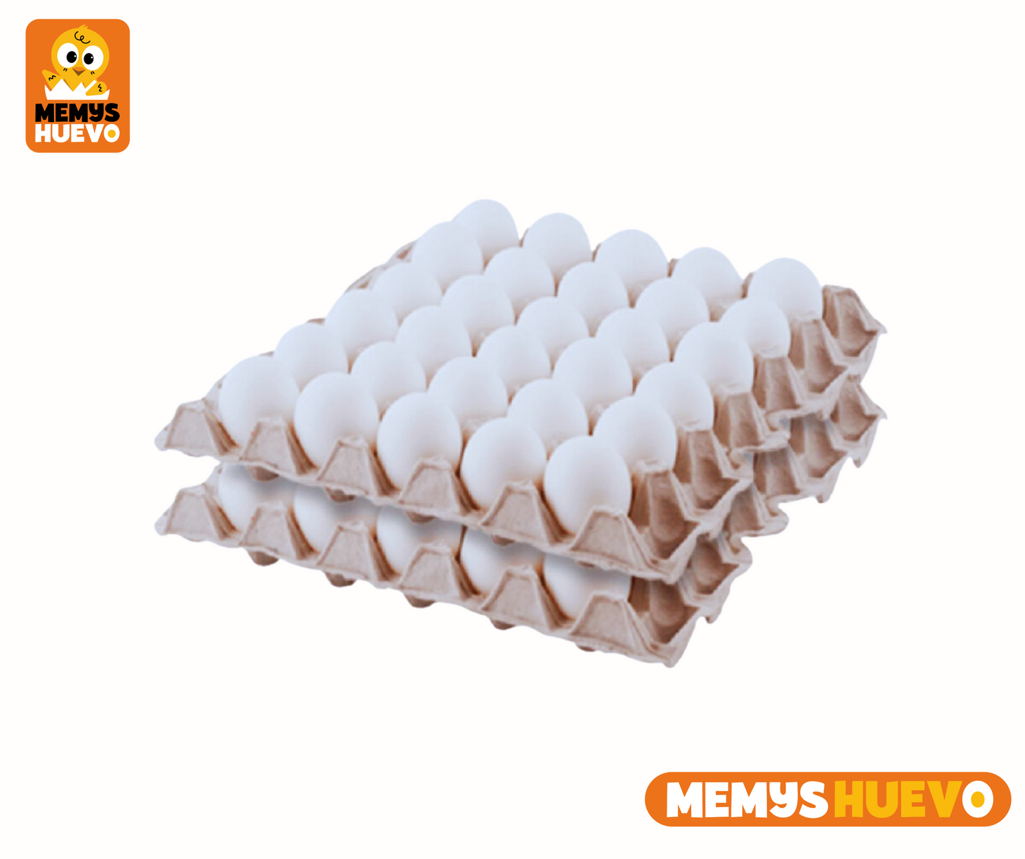 Bandejas de huevos blancos