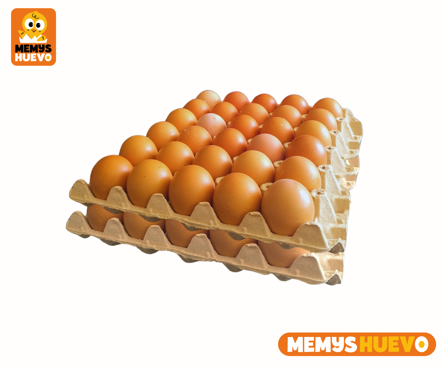 Huevos Extra Color 60 Unidades