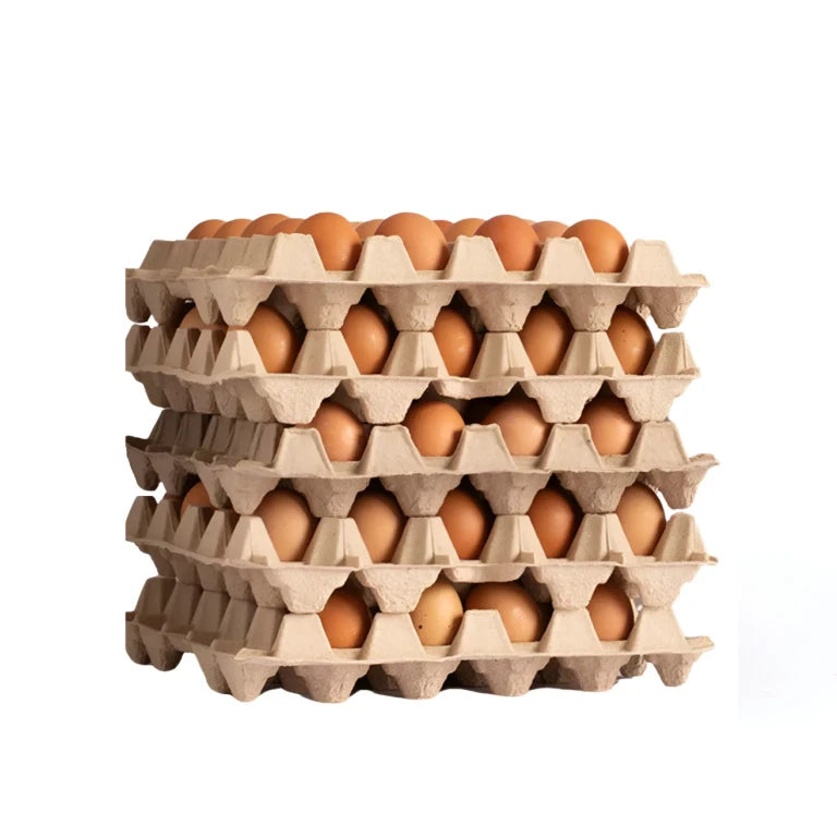 Huevos de Color