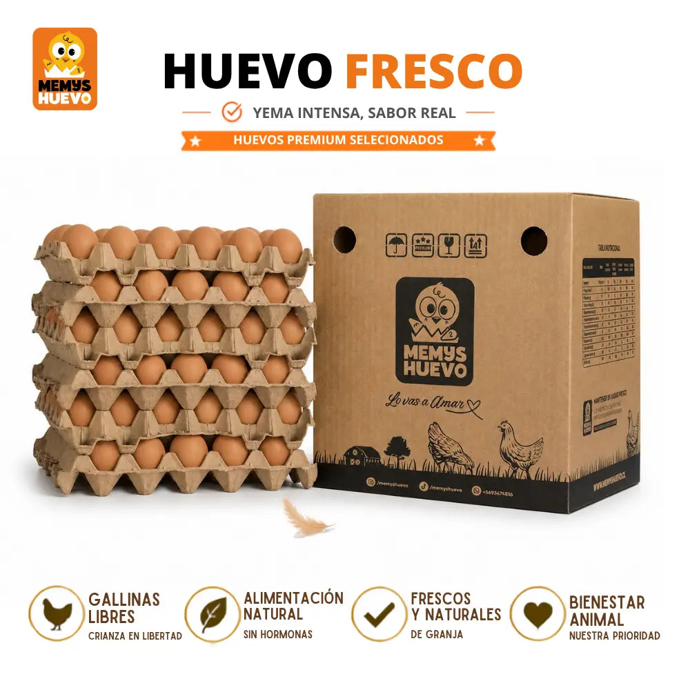 Huevos Super Color 180 Unidades