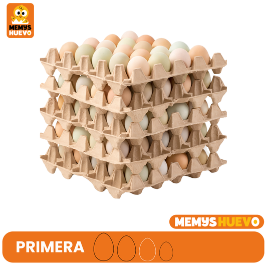 Huevos Primera de CAMPO 100 Unidades