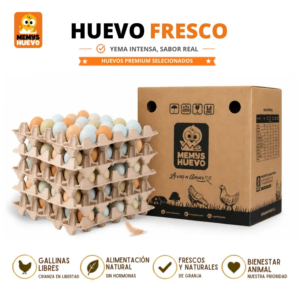 Huevos Segunda de CAMPO 100 Unidades
