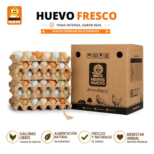 Huevos Extra de CAMPO 180 Unidades