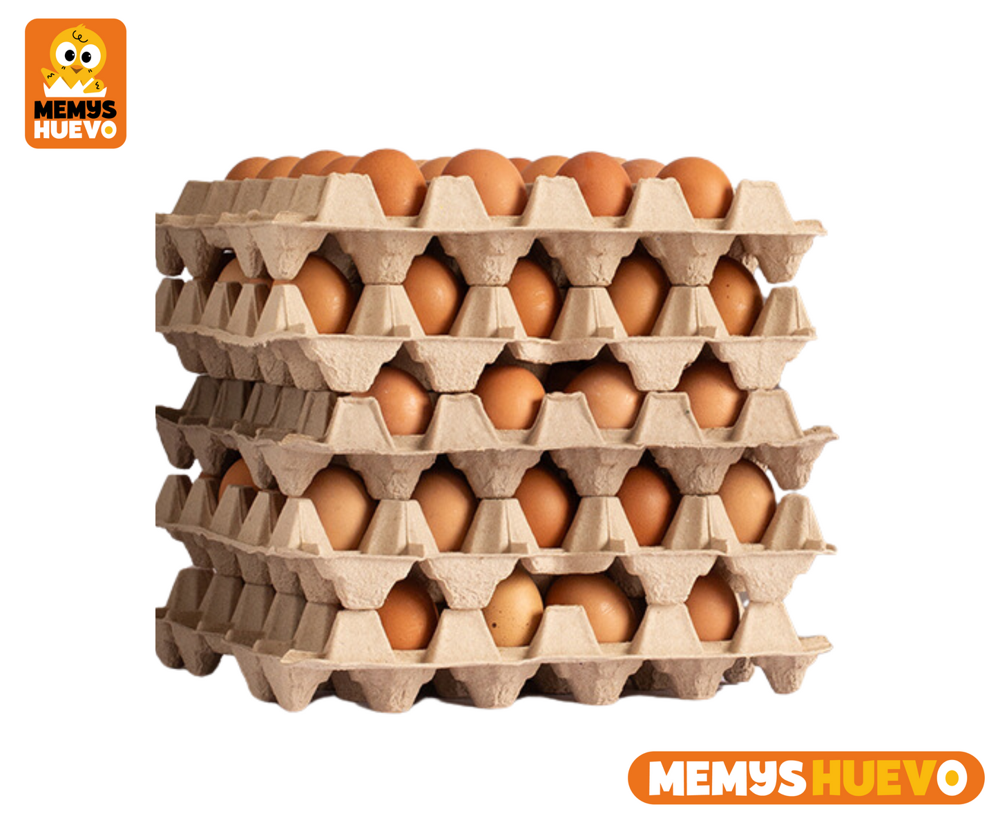 Huevos Gigante Color XXL 100 Unidades