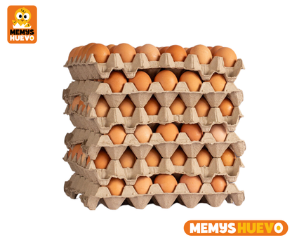Huevos Primera Color 180 Unidades