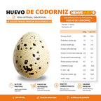 Huevos de codorniz 24 und