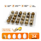 Huevos de codorniz 24 und