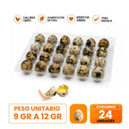 Huevos de codorniz 24 und