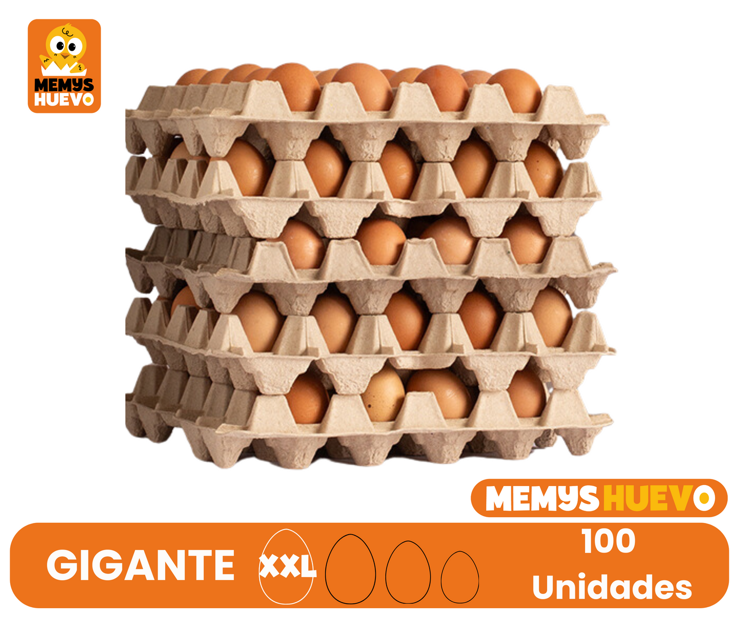 Huevos Gigante Color XXL 100 Unidades