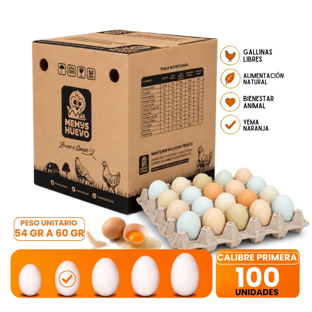 Huevos Primera de CAMPO 100 Unidades