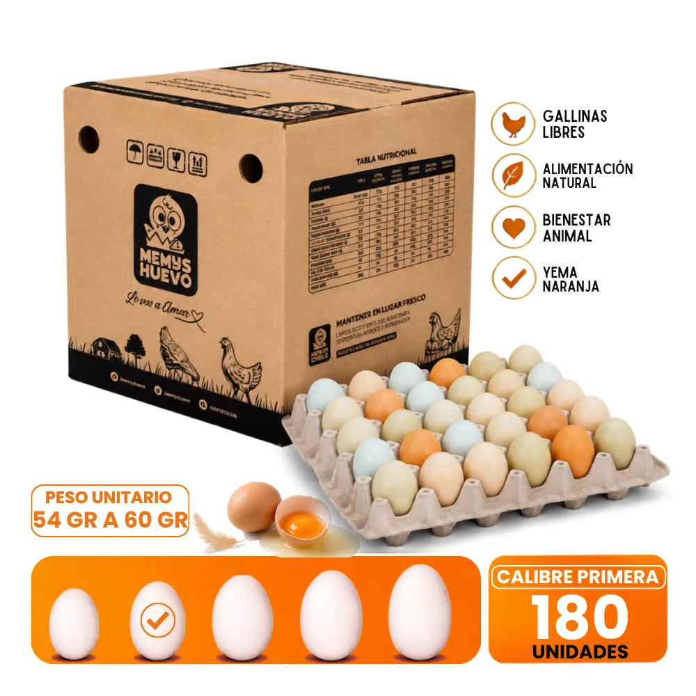 Huevos Primera de CAMPO 180 Unidades