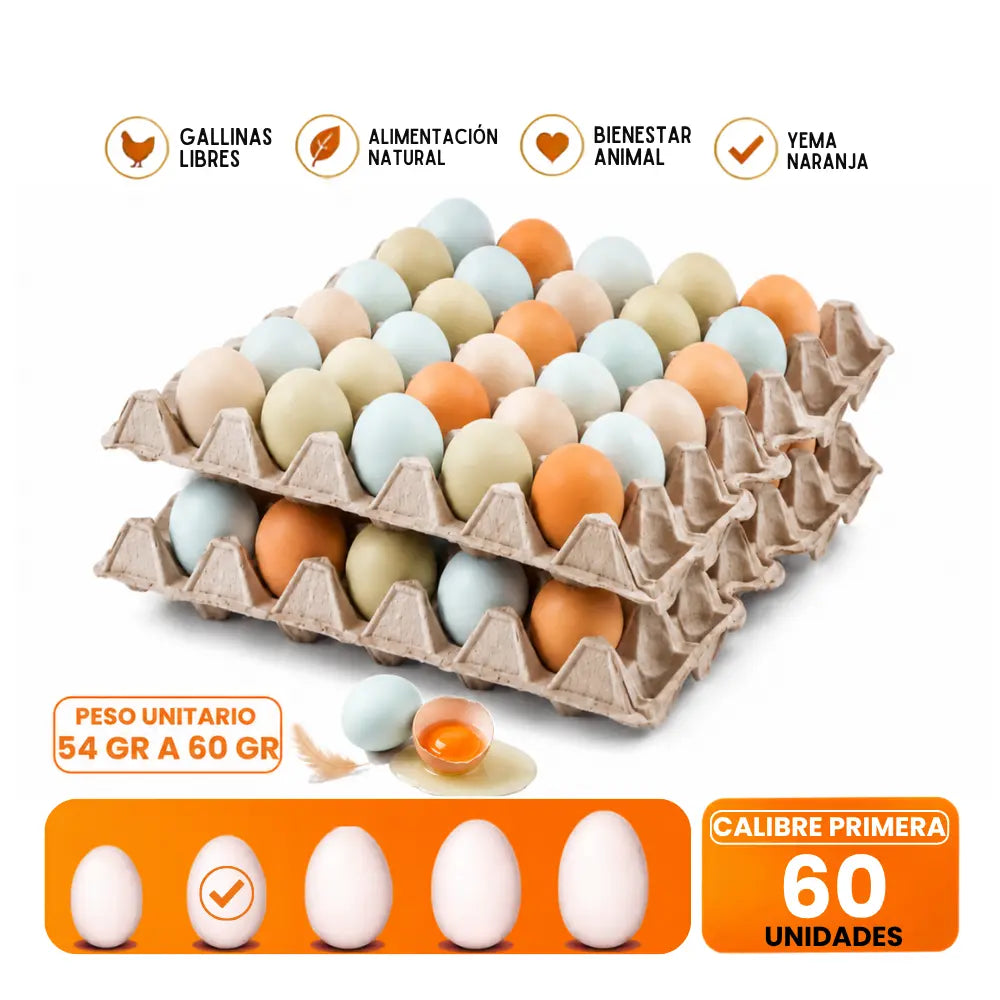 Huevos Primera de CAMPO 60 Unidades