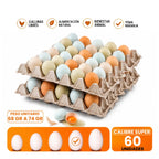 Huevos Super de CAMPO 60 Unidades
