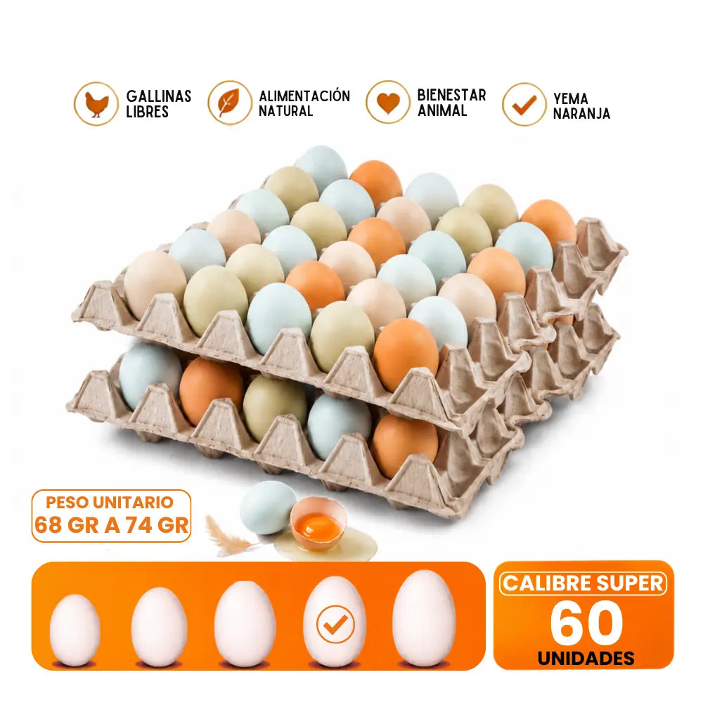 Huevos Super de CAMPO 60 Unidades