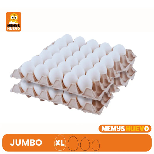 bandejas huevos blancos tamaño jumbo xl