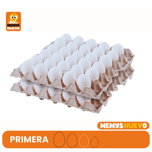 Bandejas de huevos blancos - Primera