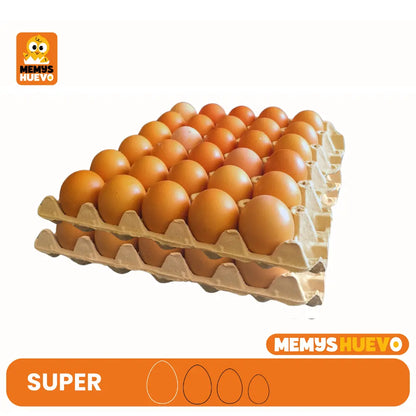 2 bandejas de huevos tamaño super