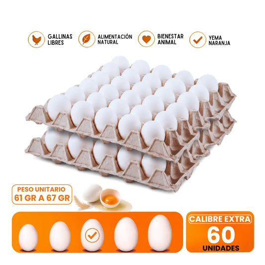 Huevos Extra 60 Unidades