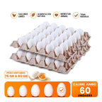 Huevos Jumbo XL 60 Unidades