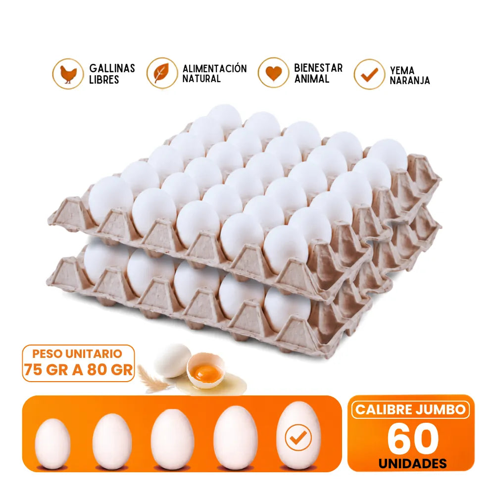 Huevos Jumbo XL 60 Unidades