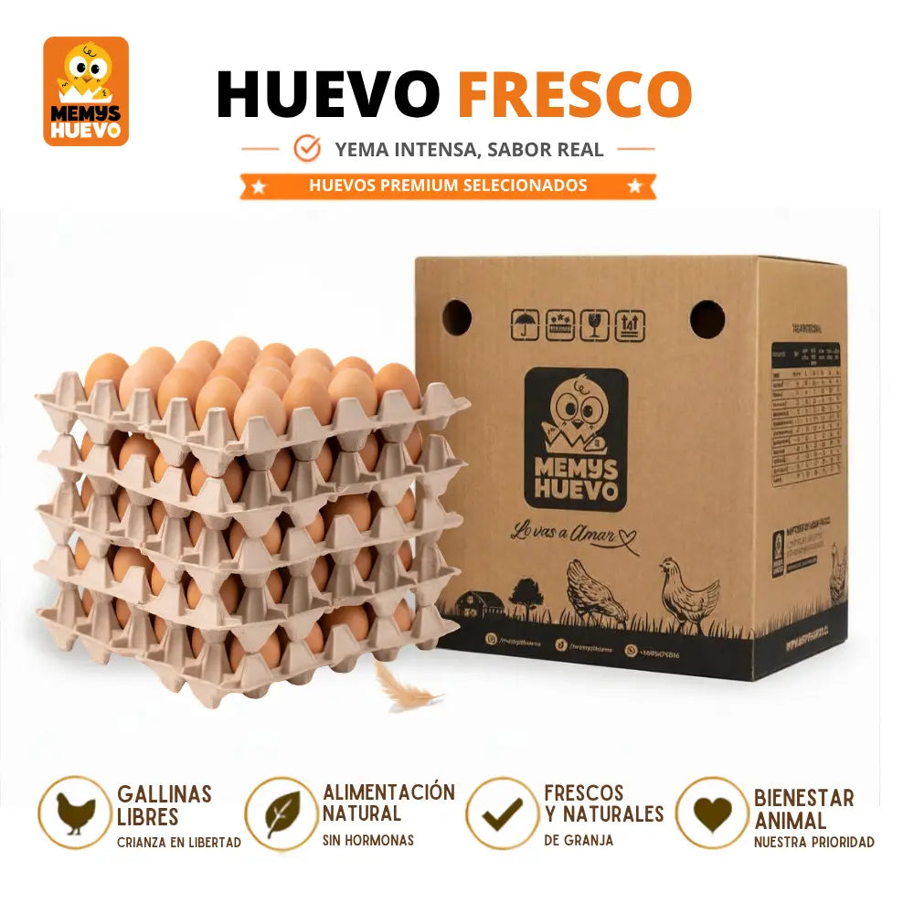 Huevos Extra Color 100 Unidades