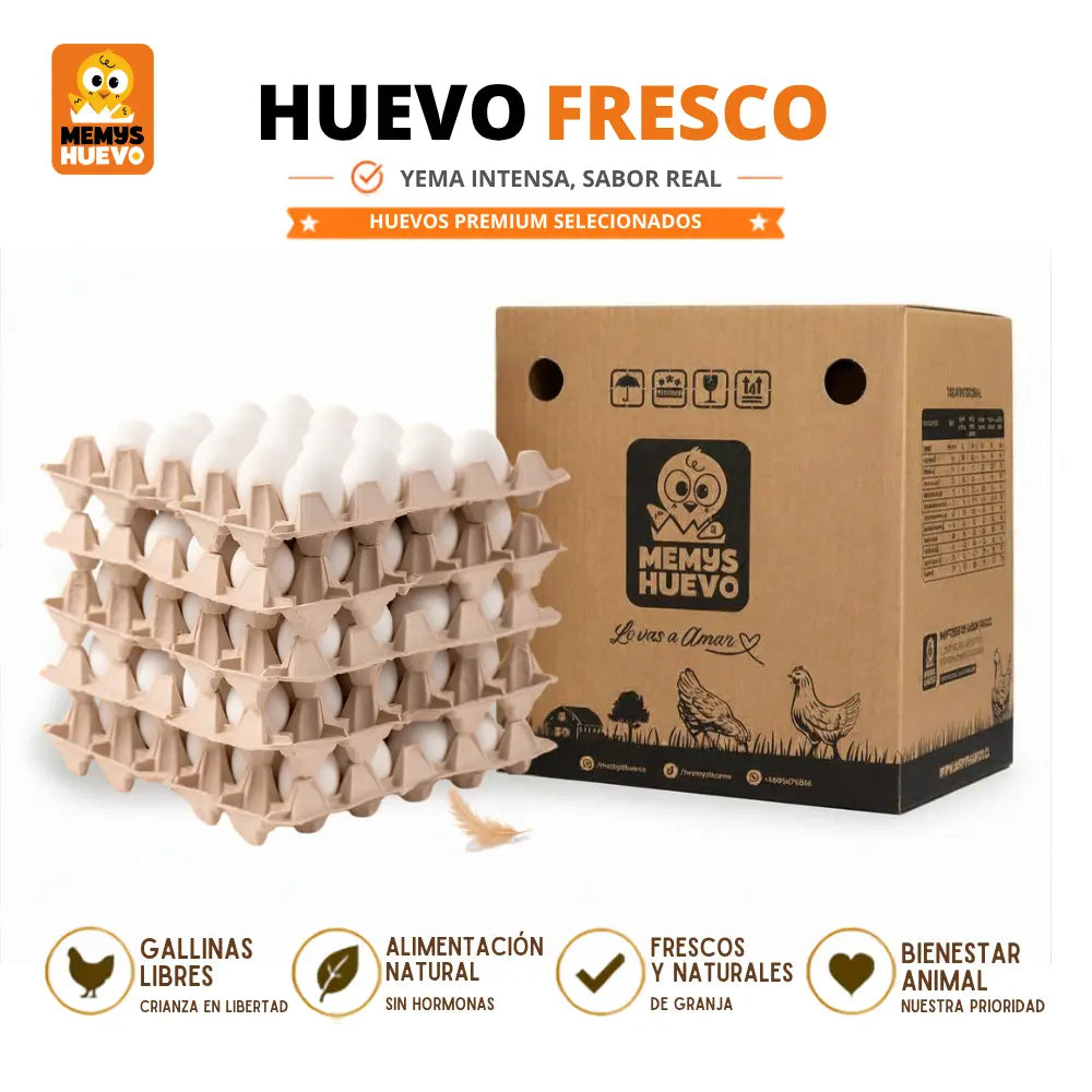 Huevos Primera 100 Unidades