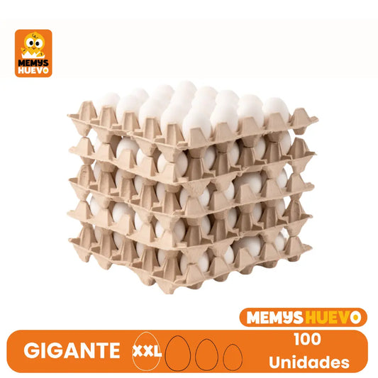 caja 100 huevos blancos gigantes xxl