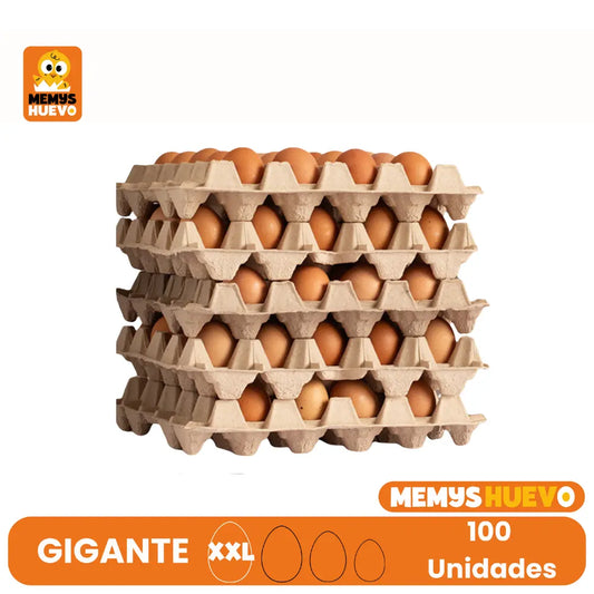 Caja de 100 huevos de color tamaño Gigante XX