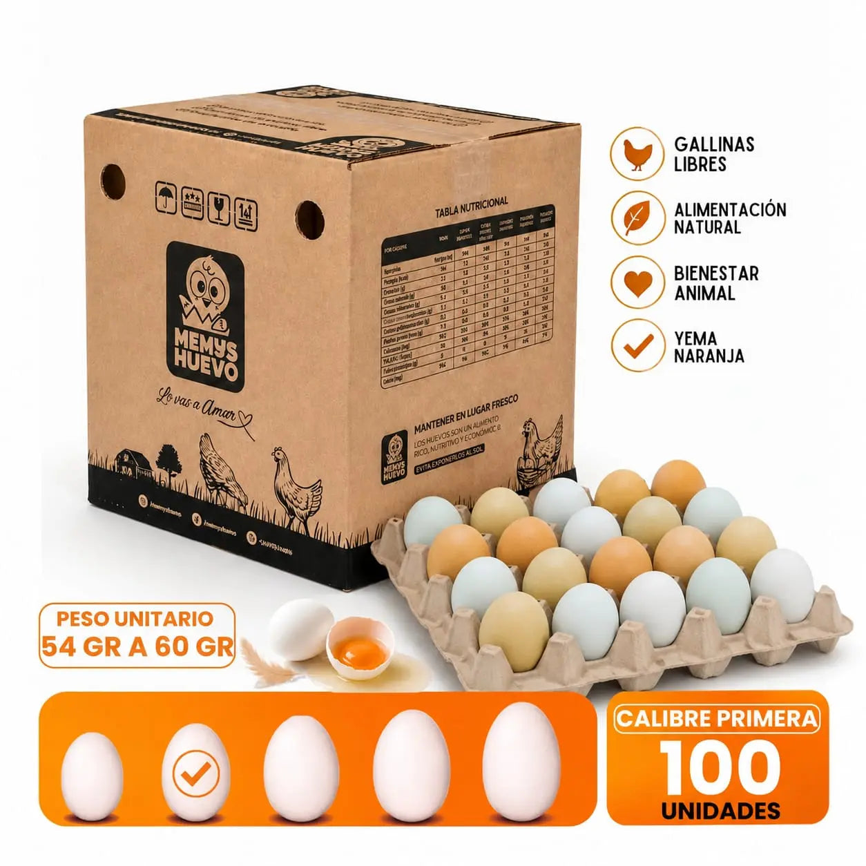 Huevos Primera de CAMPO 100 Unidades