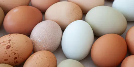 Huevos de campo de distintos tonos, una variedad de gallinas libres