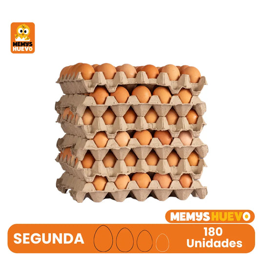 Huevos Segunda Color 180 Unidades