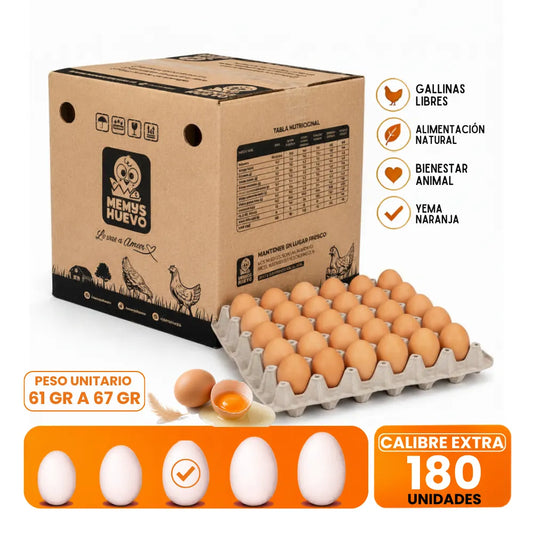 Huevos Extra Color 180 Unidades