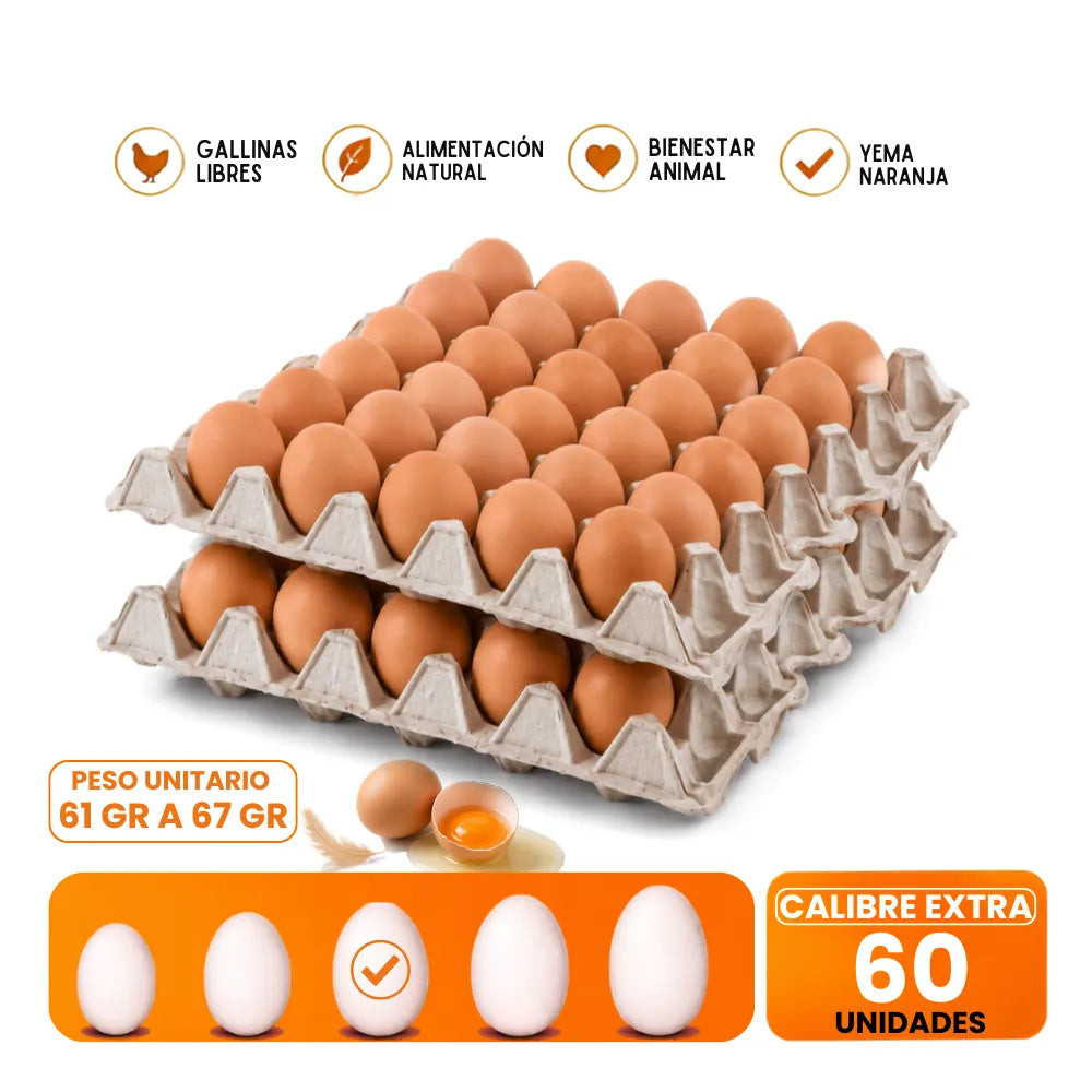 Huevos Extra Color 60 Unidades