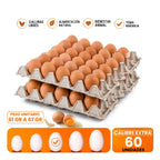 Huevos Extra Color 60 Unidades