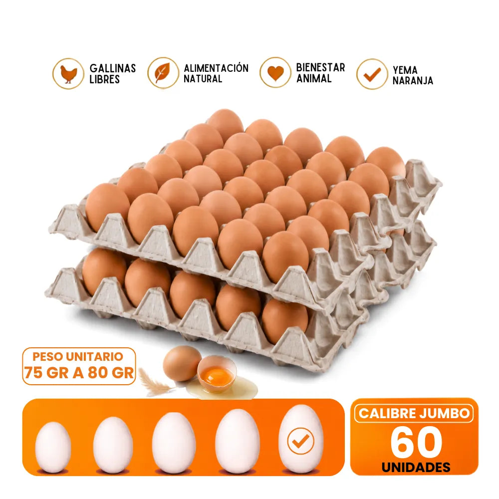 Huevos Jumbo Color XL 60 Unidades