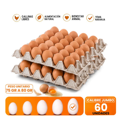 Huevos Jumbo Color XL 60 Unidades