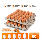Huevos Super Color 60 Unidades