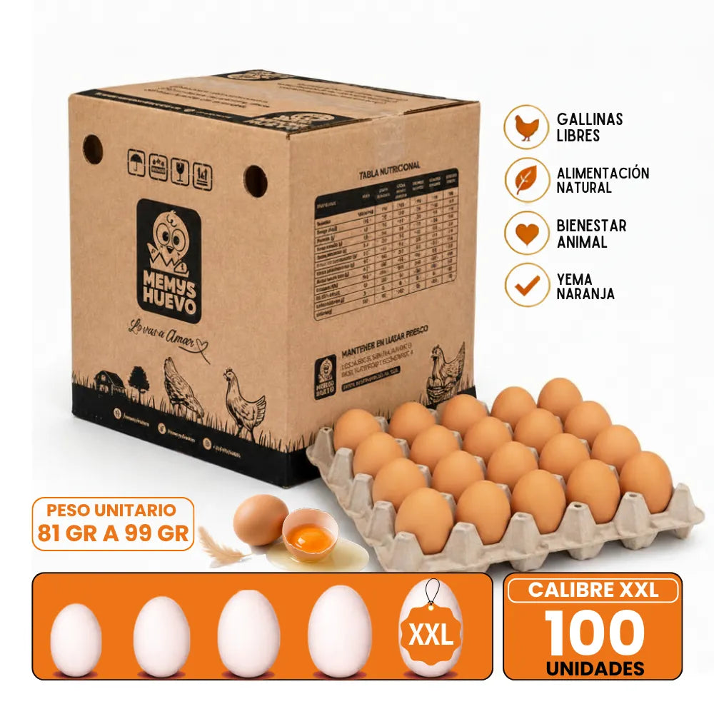 Huevos Gigante Color XXL 100 Unidades