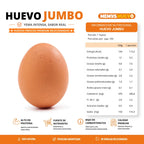 Huevos Jumbo Color XL 100 Unidades