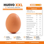 Huevos Gigante Color XXL 100 Unidades