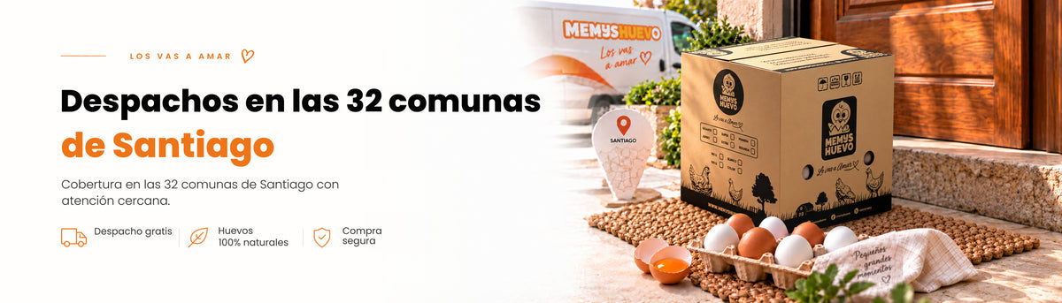 Despachos en las 32 comunas de Santiago con atención cercana.