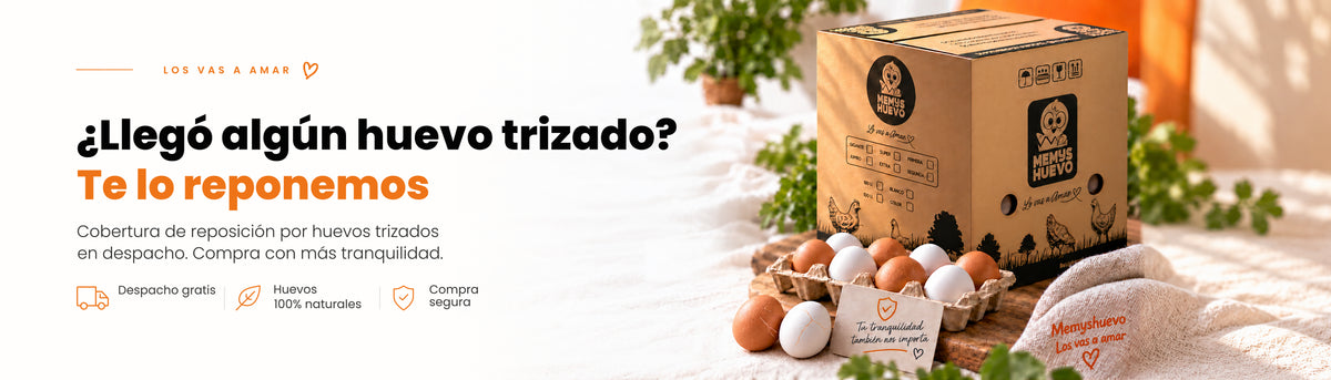 ¿Llegó algún huevo trizado? Te lo reponemos. Consulta las condiciones de reposición.
