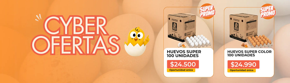 Huevos frescos a domicilio en Santiago