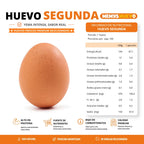 Huevos Segunda Color 100 Unidades